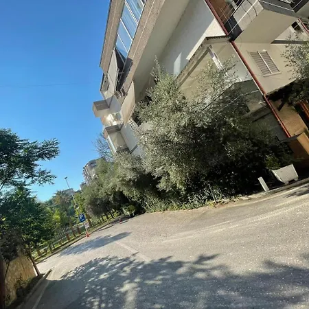 Zoo * Tirana