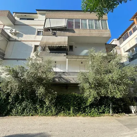 Zoo Apartment Tirana